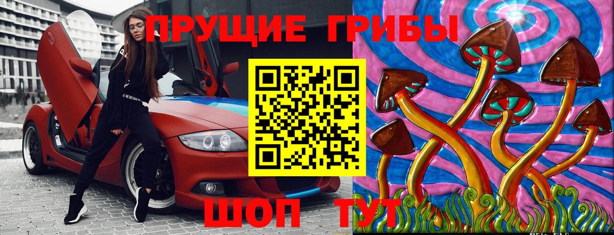 Псилоцибиновые грибы Psilocybine cubensis Павлово