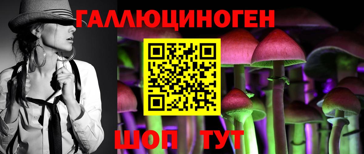 Павлово  Псилоцибиновые грибы Cubensis  Вход с VPN 